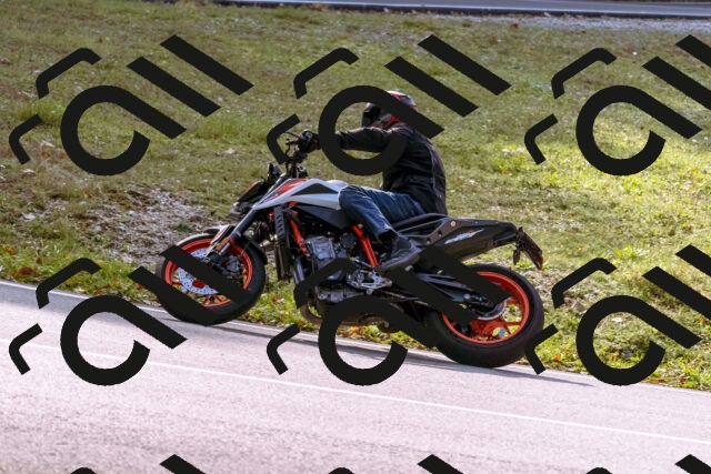 202510191148-_DSC1794_d1_