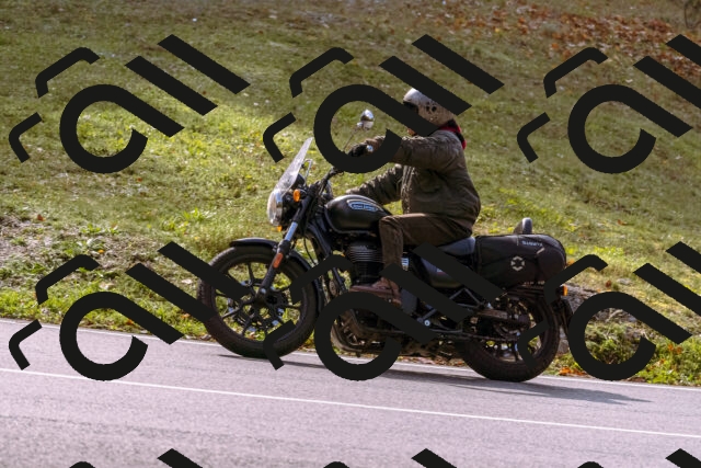 202510191148-_DSC1797_d1_