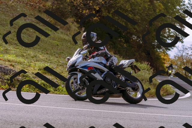 202510191148-_DSC1799_d1_