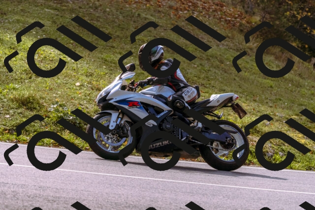 202510191148-_DSC1800_d1_