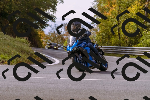 202510191148-_DSC1803_d1_