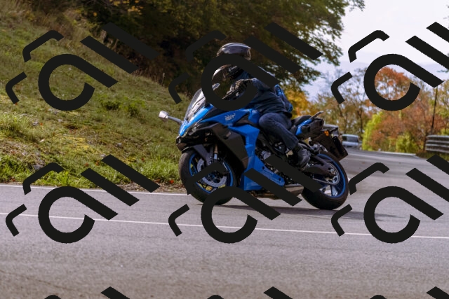 202510191148-_DSC1804_d1_