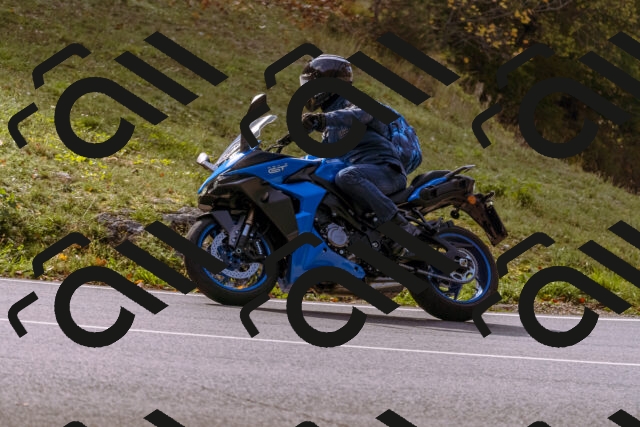 202510191148-_DSC1805_d1_