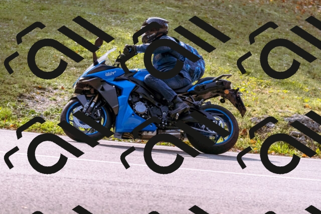 202510191148-_DSC1806_d1_