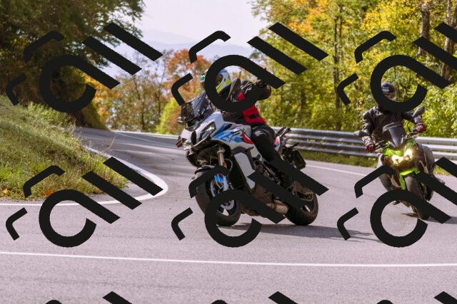 202510191150-_DSC1808_d1_