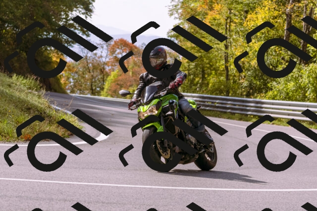 202510191150-_DSC1810_d1_