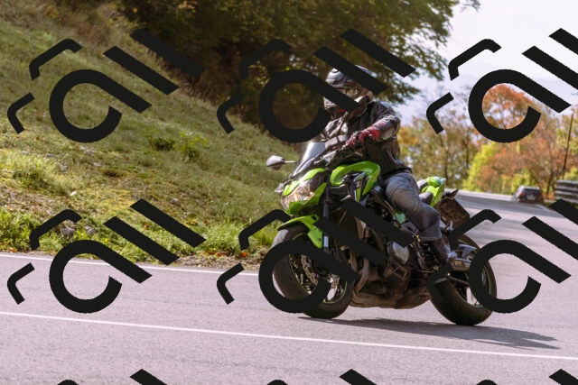 202510191150-_DSC1811_d1_