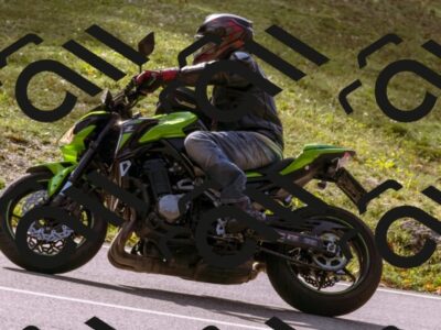 202510191150-_DSC1813_d1_