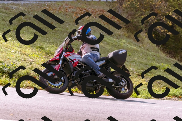 202510191150-_DSC1814_d1_