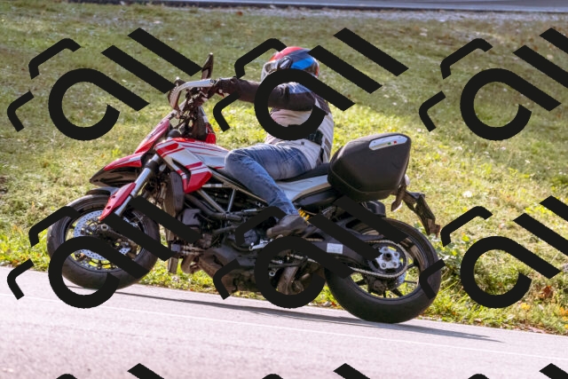 202510191150-_DSC1815_d1_