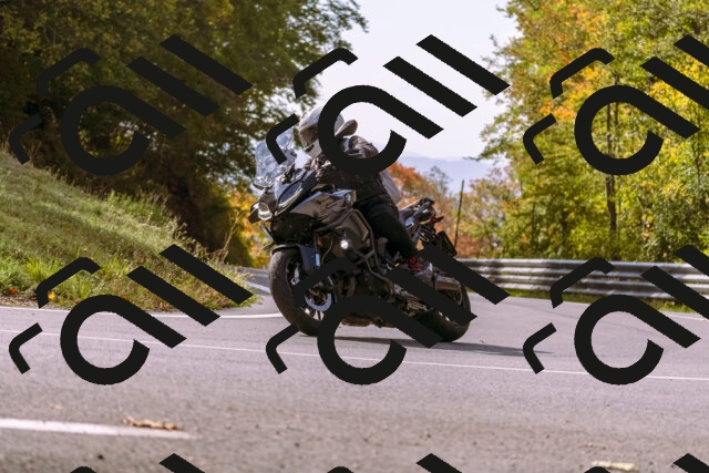 202510191151-_DSC1818_d1_