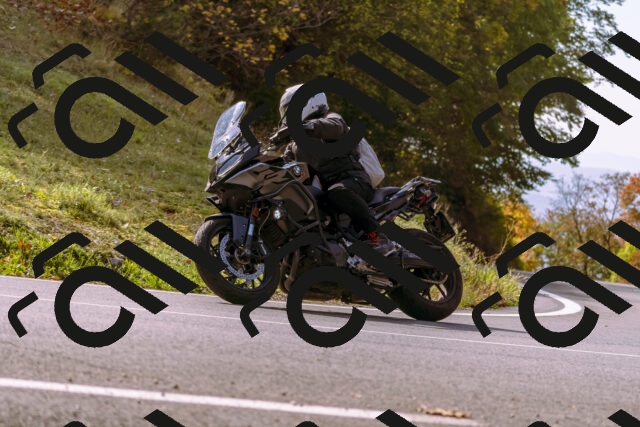 202510191151-_DSC1819_d1_