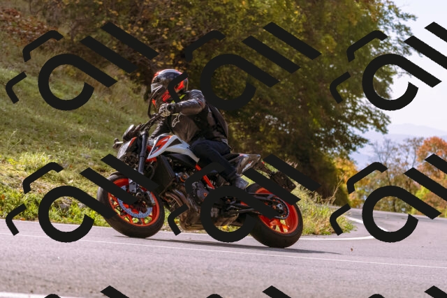 202510191156-_DSC1822_d1_