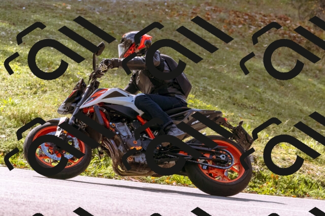 202510191156-_DSC1823_d1_