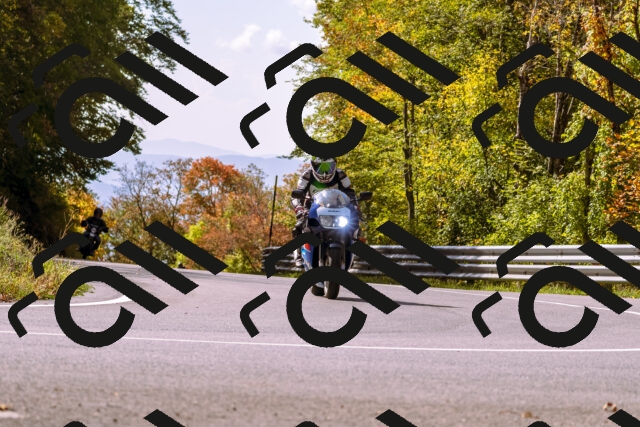 202510191156-_DSC1826_d1_