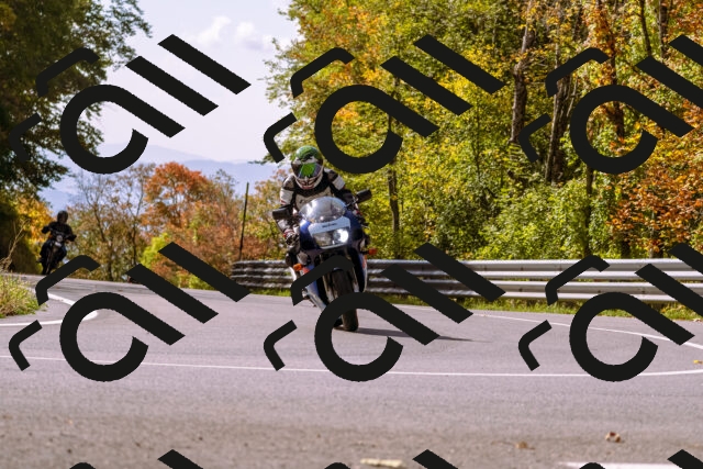 202510191156-_DSC1827_d1_