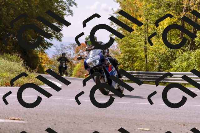 202510191156-_DSC1828_d1_