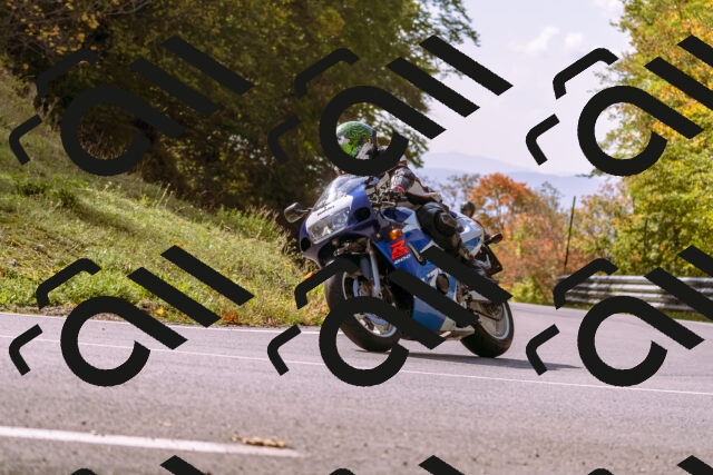 202510191156-_DSC1829_d1_