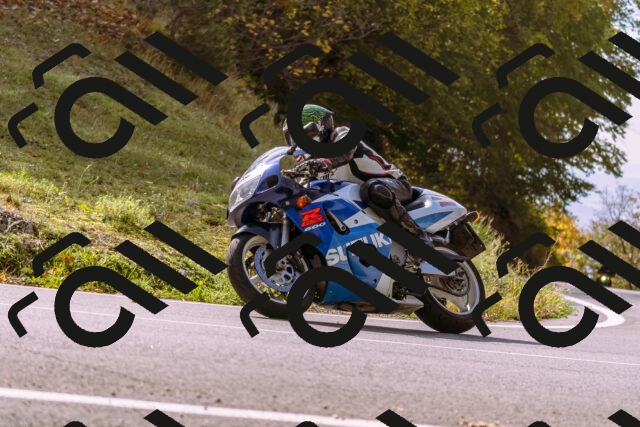 202510191156-_DSC1830_d1_