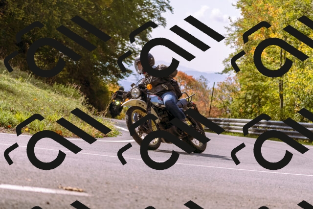 202510191156-_DSC1832_d1_