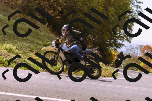 202510191156-_DSC1833_d1_