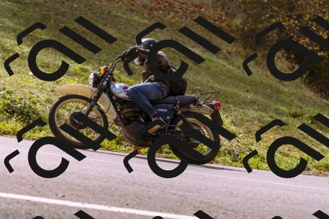 202510191156-_DSC1834_d1_