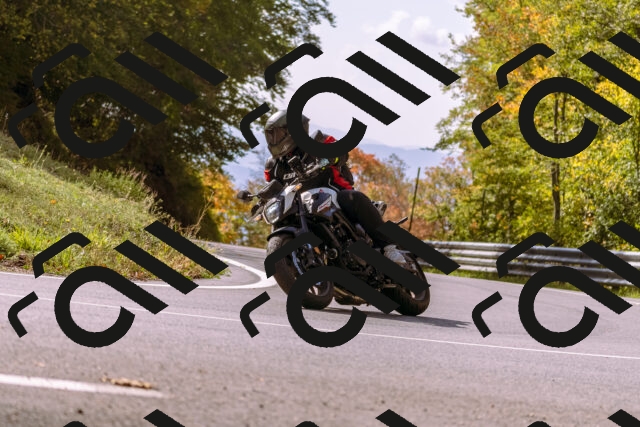 202510191156-_DSC1835_d1_