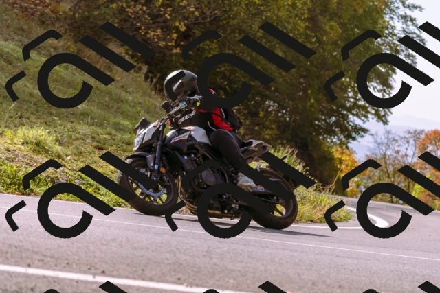 202510191156-_DSC1836_d1_