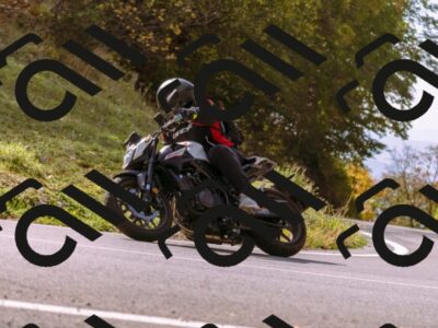 202510191156-_DSC1836_d1_