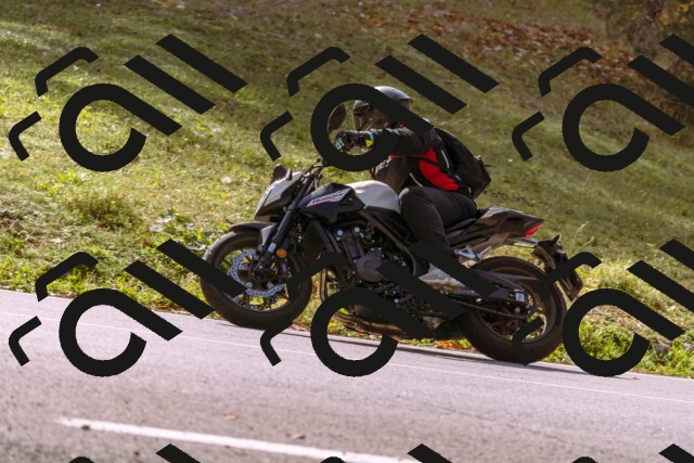 202510191156-_DSC1837_d1_