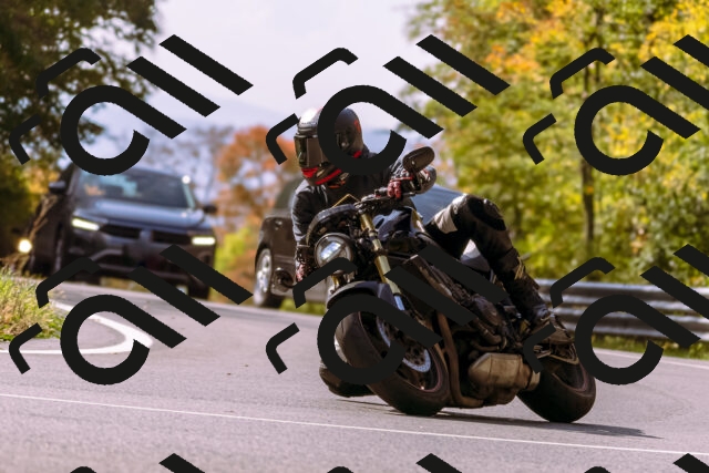 202510191157-_DSC1839_d1_