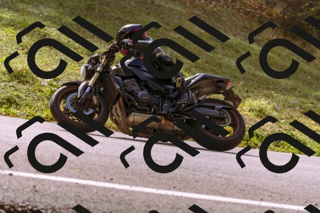 202510191157-_DSC1841_d1_