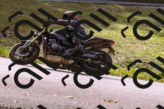 202510191157-_DSC1842_d1_