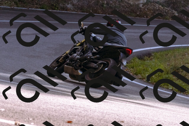 202510191157-_DSC1844_d1_