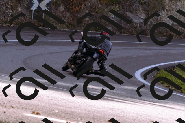 202510191157-_DSC1845_d1_