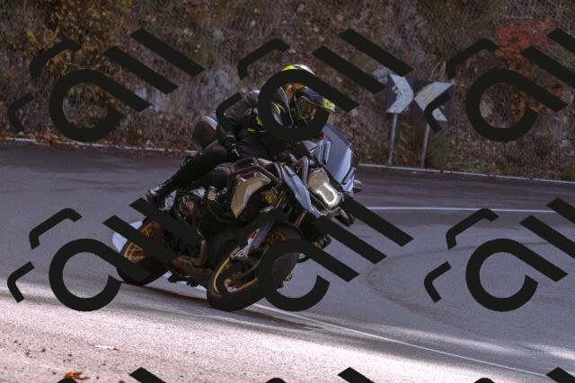 202510191157-_DSC1847_d1_