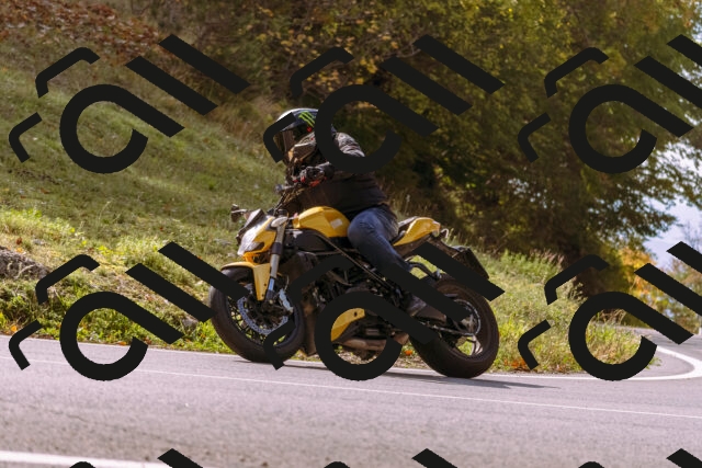 202510191158-_DSC1848_d1_