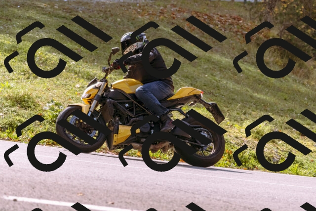 202510191158-_DSC1849_d1_