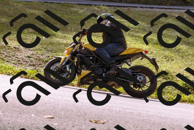 202510191158-_DSC1850_d1_