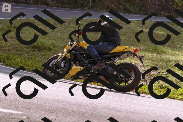 202510191158-_DSC1851_d1_