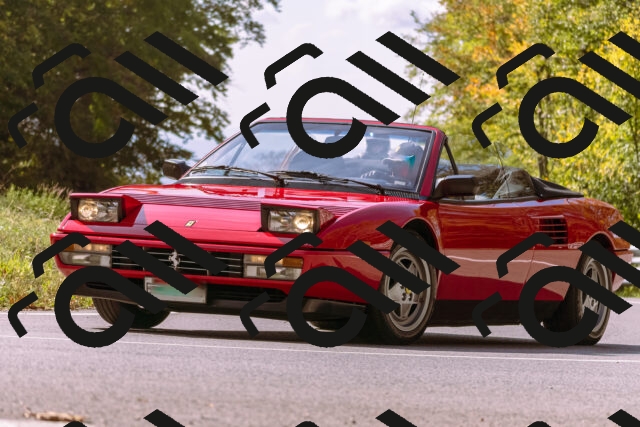 202510191158-_DSC1852_d1_