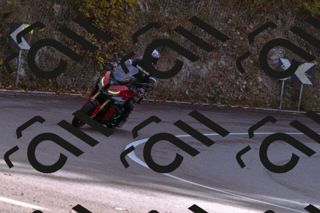 202510191158-_DSC1856_d1_