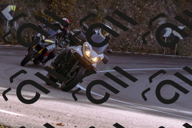 202510191158-_DSC1861_d1_