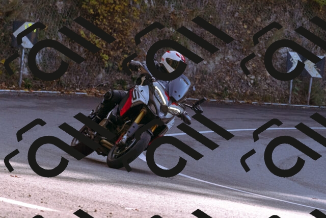 202510191158-_DSC1862_d1_