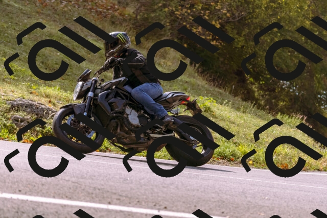 202510191158-_DSC1865_d1_