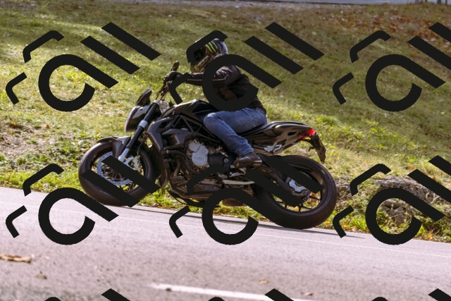 202510191158-_DSC1866_d1_