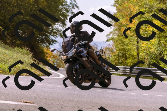 202510191158-_DSC1867_d1_