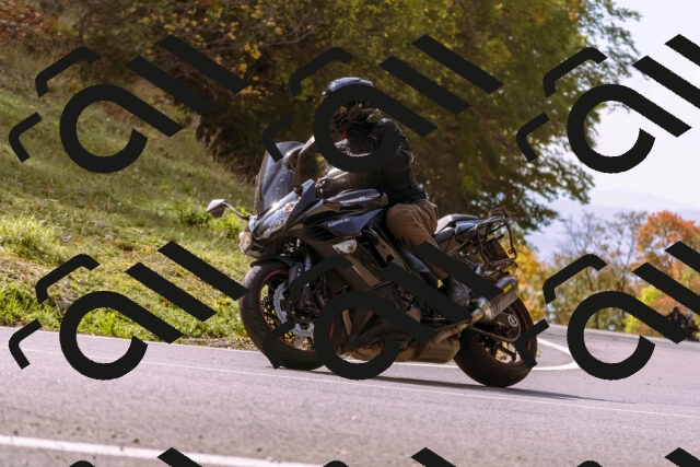 202510191158-_DSC1868_d1_