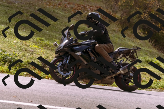 202510191158-_DSC1869_d1_