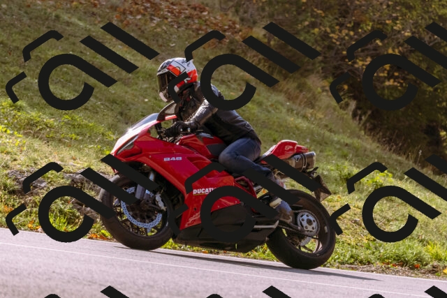 202510191159-_DSC1872_d1_